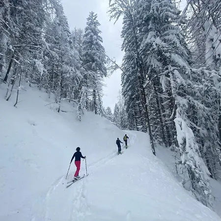 Alpine Centre *