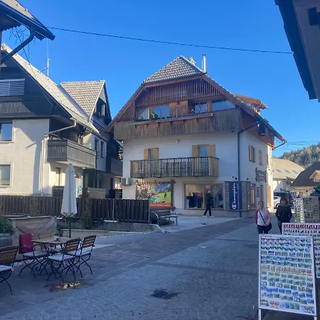 Apartment Alpine Centre