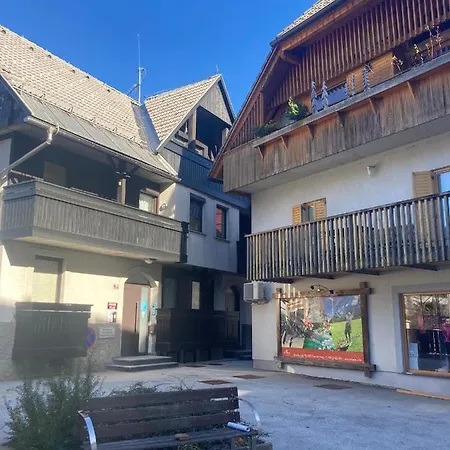 Alpine Centre Apartment Kranjska Gora